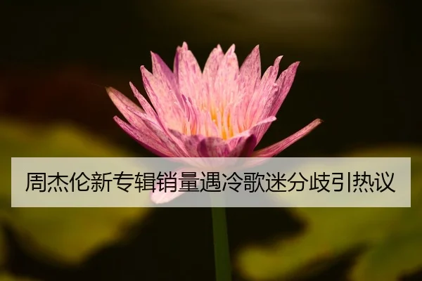 zhou-jie-lun-xin-zhuan-ji-xiao-liang-yu-leng-ge-mi-fen-qi-yin-re-yi-2-828.jpg